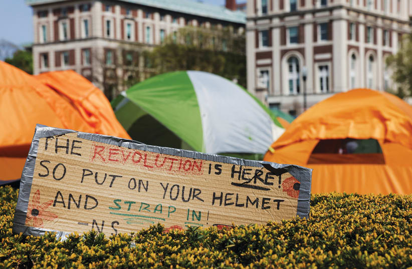 Read more about the article No longer an academic debate: Anti-Zionism is antisemitism – opinion Those who advocate for the destruction of Jews anywhere, rejoice at the harm done to Jews everywhere by William Daroff