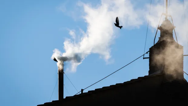 Read more about the article White smoke over Sistine Chapel as new pope chosen by Megan Owen