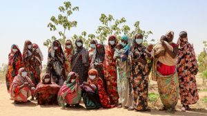 Read more about the article More than 1,000 rape and gender-based violence cases reported in Niger since January 2025. By Ehud Jones.