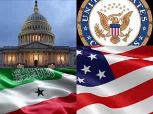 Read more about the article Somaliland seeks US recognition by trading a strategic base and natural resources. By Ehud Jones.