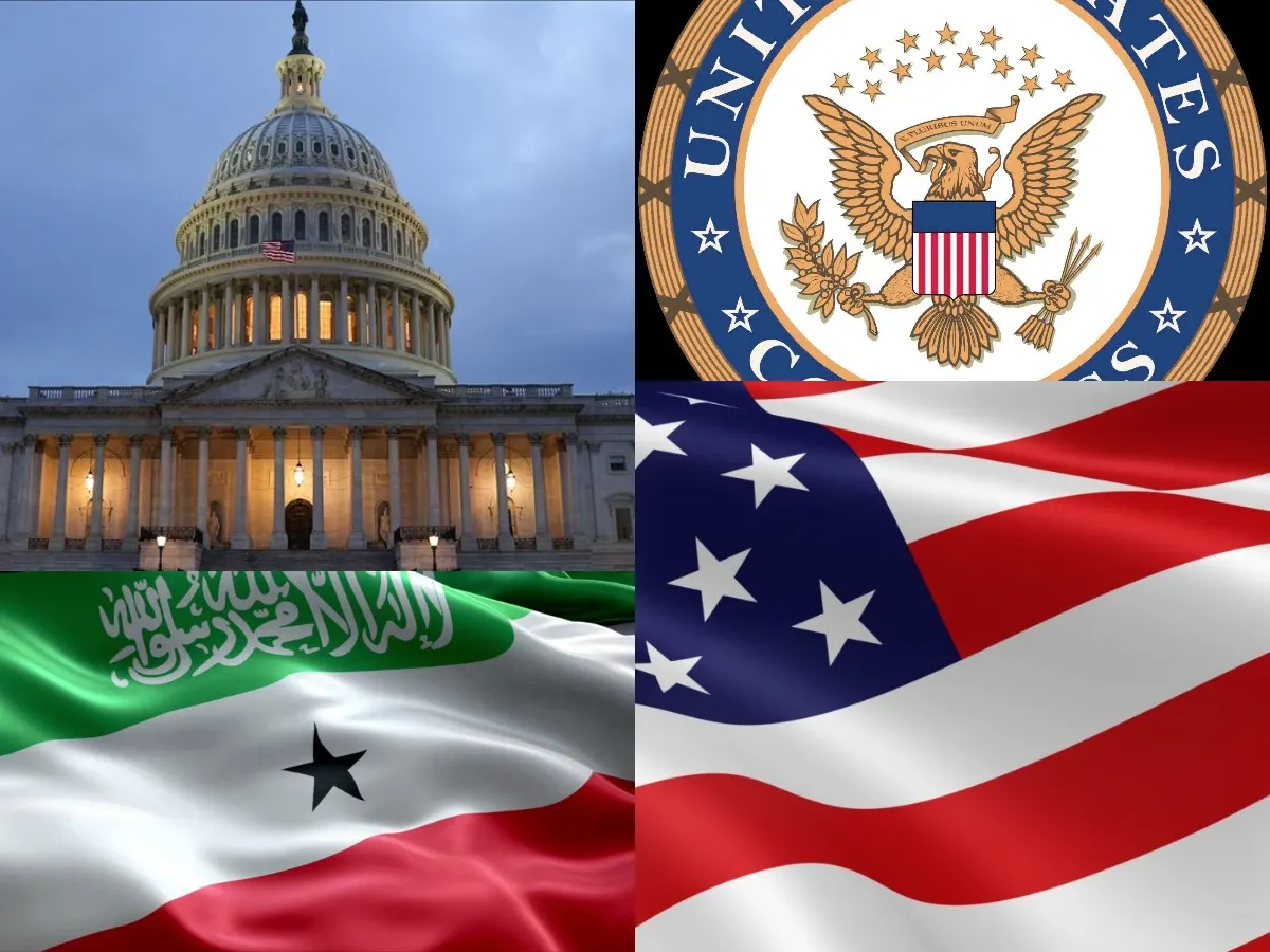 Read more about the article Somaliland seeks US recognition by trading a strategic base and natural resources. By Ehud Jones.