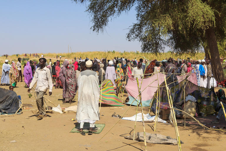 Read more about the article Sudan’s RSF accused of deadly hospital attack in Darfur leaving hundreds dead. By Ehud Jones.