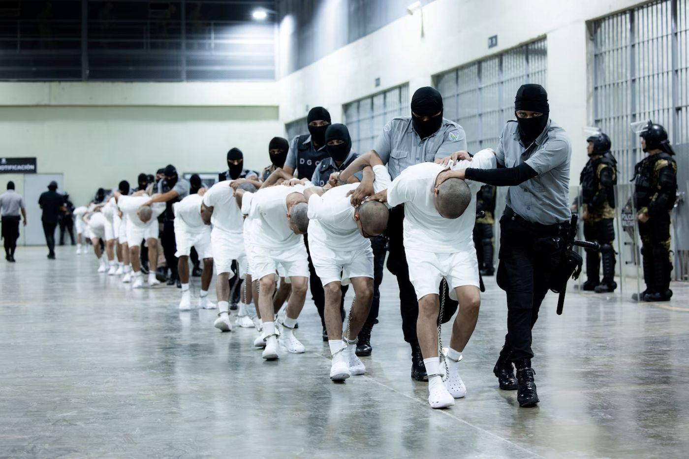 Read more about the article Judge orders Trump administration a Plan to Bring Back Migrants Sent to El Salvador Prison. Kathy Moore.